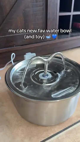 he loves it so much & my dog drinks from it too! go buy this for your pet they will love it 💧🥣 #playboicartismaid #feinariana #pet #relateable #catsoftiktok #petbowl #cat #dog 