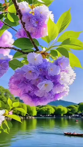 #flower #nature #scenery 
