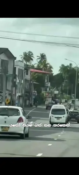 plz ශයා එපා වයිරල් යයි එහම 🙏 උනොත් මුට කොස් වේයි එ උනාට මේ වගේ බත් කන හරක් මෙන්සන්  කරන්න 😥🤣🤣 මේ රට රැග්ලන්තයක්මයි.  #lovelysong  #fouyoupageofficial # #fouyoupage  #video 