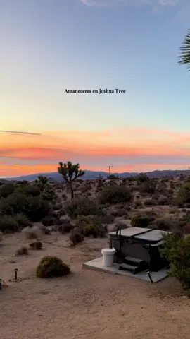 Tu señal para ir a JT 🤠🌵☀️ #sunrise #joshuatree #paisajes #naturaleza #fy 