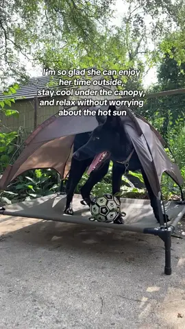 So thankful she can stay cool and still enjoy her time outside. The canopy bed makes all the difference. #tiktokshoplabordaysale   #PetParents #DogBed #StayCoolPup #PetEssentials
