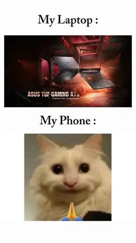 Ketika lu bandingin laptop lu dan handphone lu sendiri 😂😂😂 #masukberanda #fyp #asustuf #laptopgaming #meme 