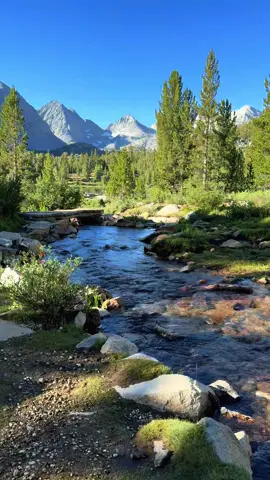 Really 😭 like what the… is this real life 🥹🤍🌿🌲😍 #alpinelakes #littlakesvalley #fyp #bishopca 