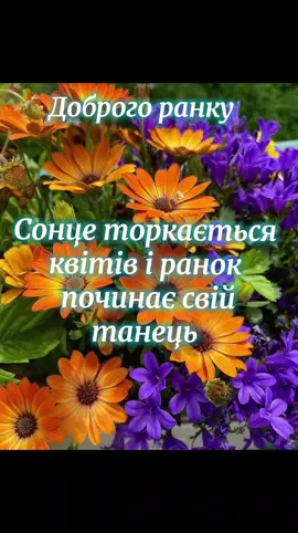 Доброго ранку. Легкого подиху щастя. #Ранковий  настрій#Позитив # Подих щастя# Літо#
