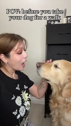 #pov #goldenretriever #dogsoftiktok 