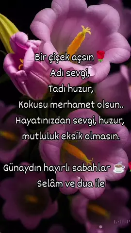 Günaydın hayırlı sabahlar mutlu günler #☕️☕️☕️☕️☀️🌿🌿🌹🍀⚘️⚘️🌷🌷🌱🌱☘️🍃🍃 