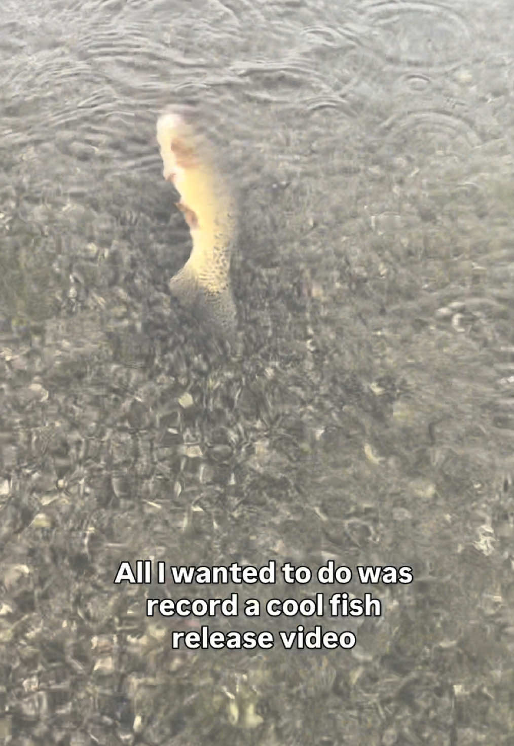 I think he’s gonna be ok right?? #fishing #tiktok #fishtok #fishinglife #satirecomedy 