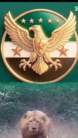 #سورياا -الشام#عليكم -بالشام#اليمن🇾🇪المملكة🇸🇦 #العراق -الشام#أكسبلووووووووور 