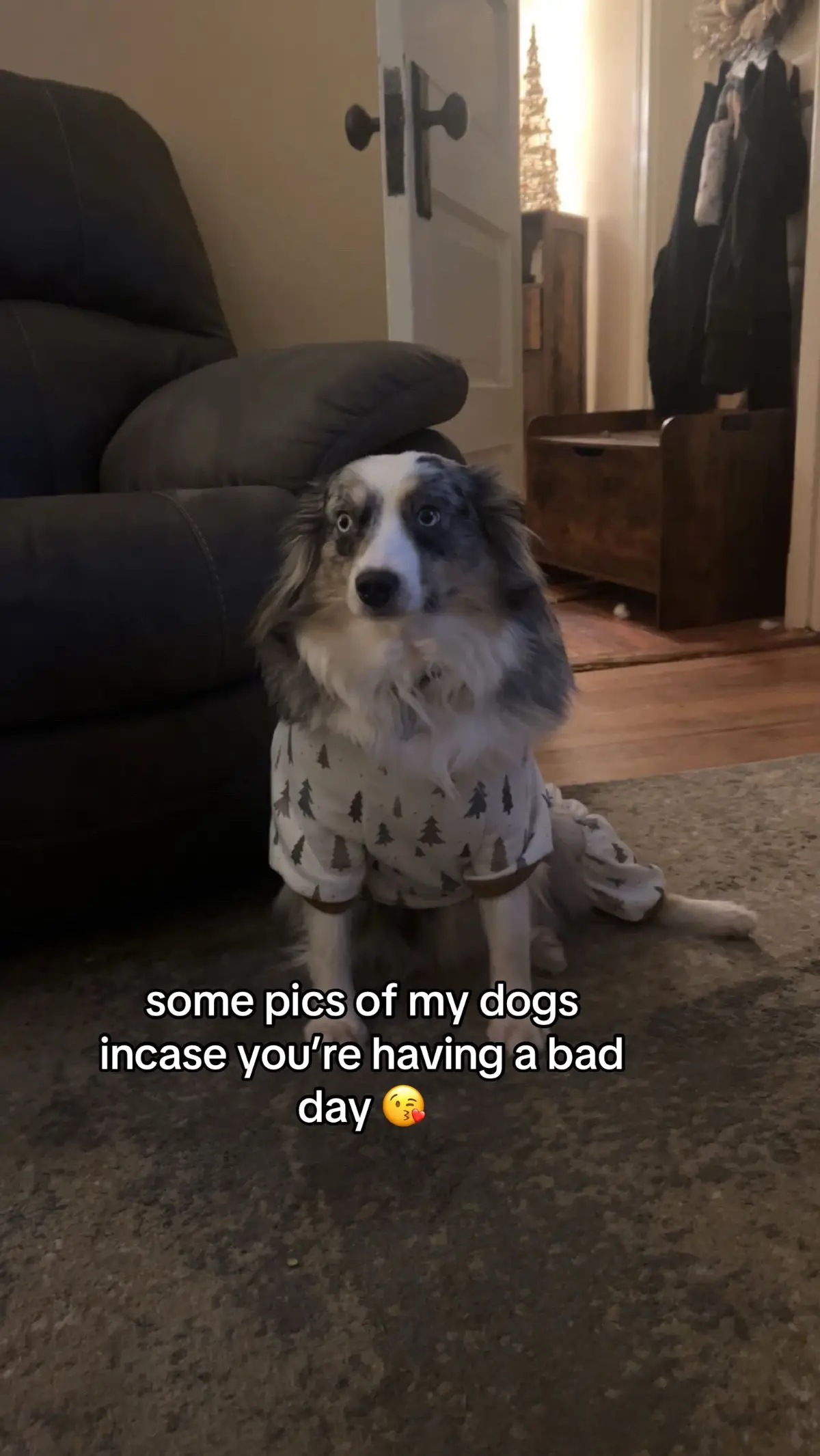 #doggies 