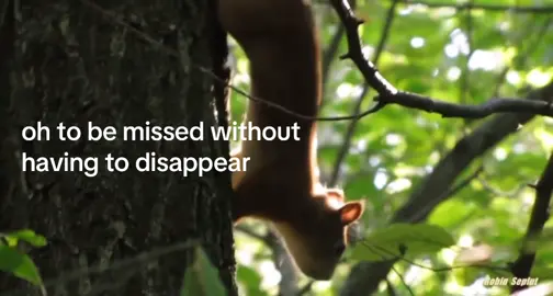 #forgotten 