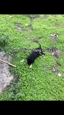 #uocduoclenxuhuong #tiktok2025 #xhuongtiktok #trending #tiktok 