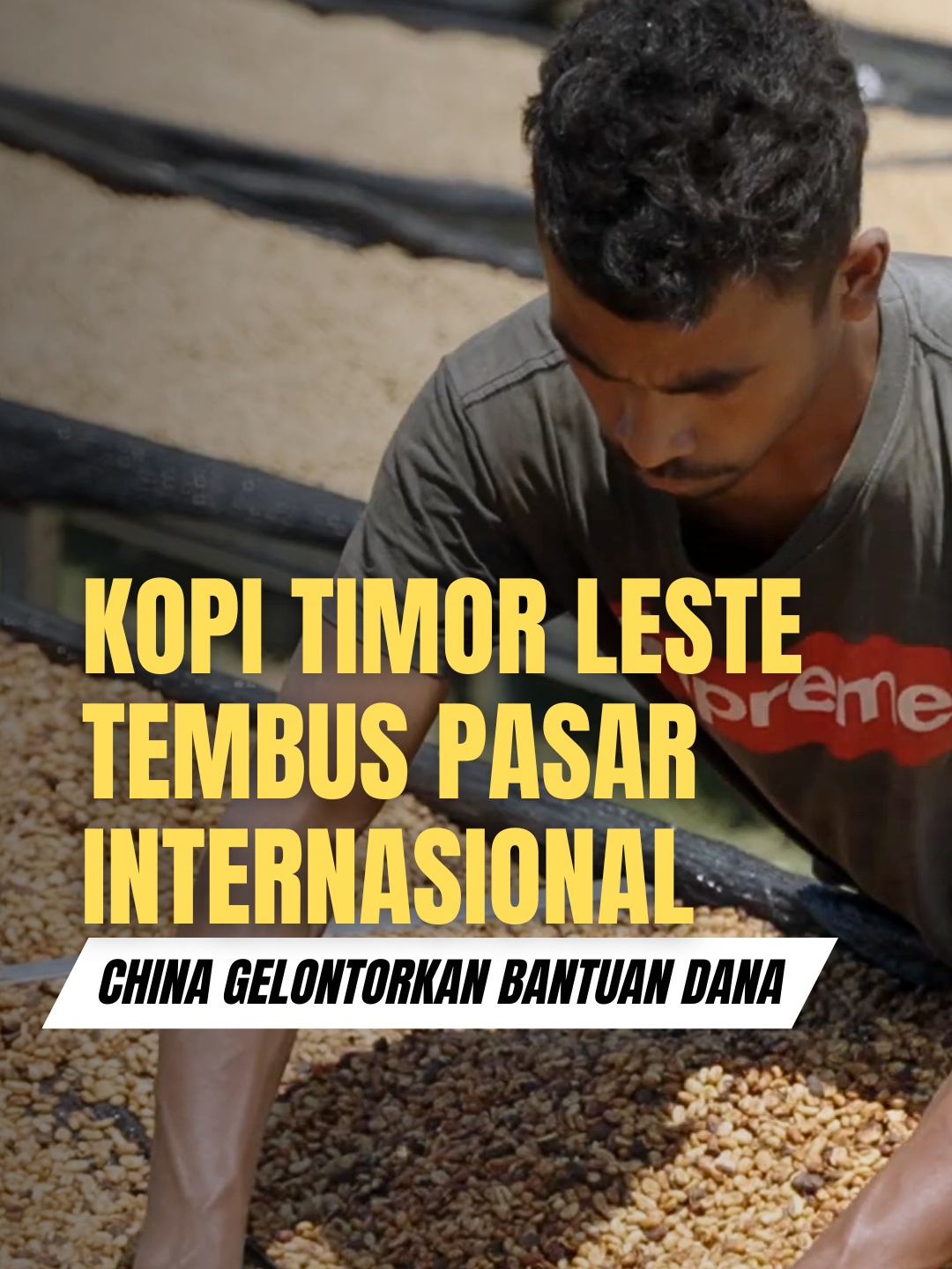 Kopi Timor Leste Tembus Pasar Internasional. China Gelontorkan Bantuan Dana. . source video: youtube . Buat yang pengen konsultasi mesin pengemas dan kemasannya bisa datang langsung atau hubungi marketing di bawah ini. ___________________ 📌Office & Showroom: Jl. Kapten Haryadi, Gondangan, Sardonoharjo, Ngaglik, Kabupaten Sleman, Daerah Istimewa Yogyakarta 55581 ☎ Whatsapp : 0857-0029-3940 💻 Website: www.dikemas.com . #mesinpengemas #mesinpengemaskopi #mesinkemaskopi #mesinbungkuskopi #mesinpackingkopi #dikemasrumahkemasan