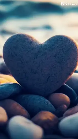 Sending love To everyone who feels Overwhelmed. With work. With love, with life, Be gentle with yourself And take it one day at a time ❤️#genx #HelpingOthers #CommunityFirst  You Got This.
