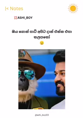 තලපතෝ ඕවටනම් එන්න එපා😌💥#100k #viralvideo #quotes #foryou #foryoupage 