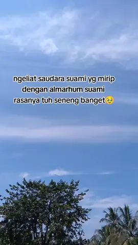 #rindusuami#suamisurgaku