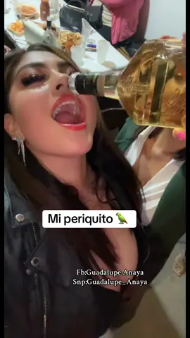 #fyp #viral #periquitotrend #tiktok