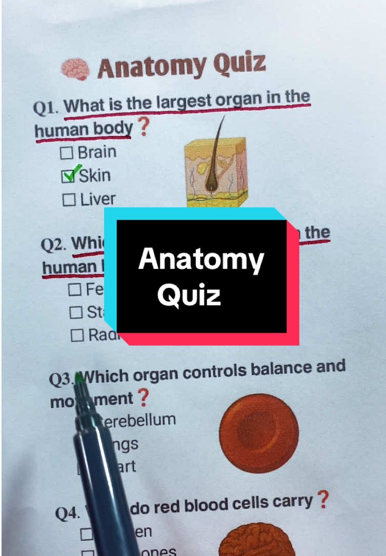 Anatomy Quiz: Give answers in comment section #follwme #foruyou #anotomyquiz 