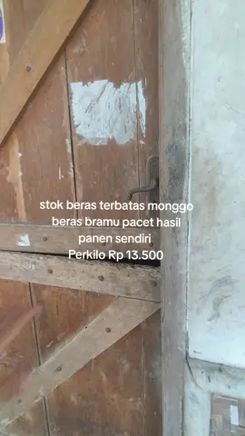 #beras #berasbramu #beraspacet 