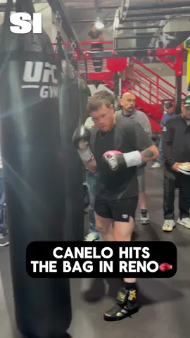 #canelo #canelovscrawford #netflix