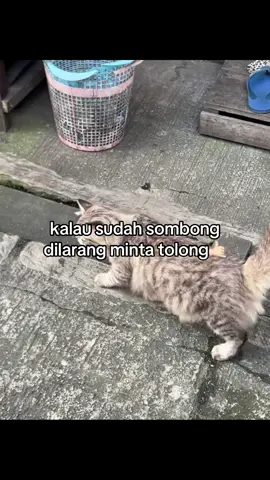 🤫