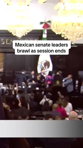 Mexico's senate erupted into violence with punches, pushing and shouting after an opposition party leader grabbed the chamber's president as the session was wrapping up. #fight #senate #mexico #alejandromoreno #gerardofernandeznorona