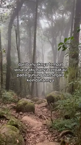 #fypage #masukberanda #pendakigunung #pendakiindonesia 