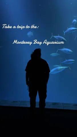My wife and I had been debating on going to the aquarium as part of our trip, and we are so glad we went. I spent summers out here all the time as a kid and I’m not sure why we never came! Such a cool experience 10/10 recommend #aquarium #montereybayaquarium #dateideas #moana #fyp 