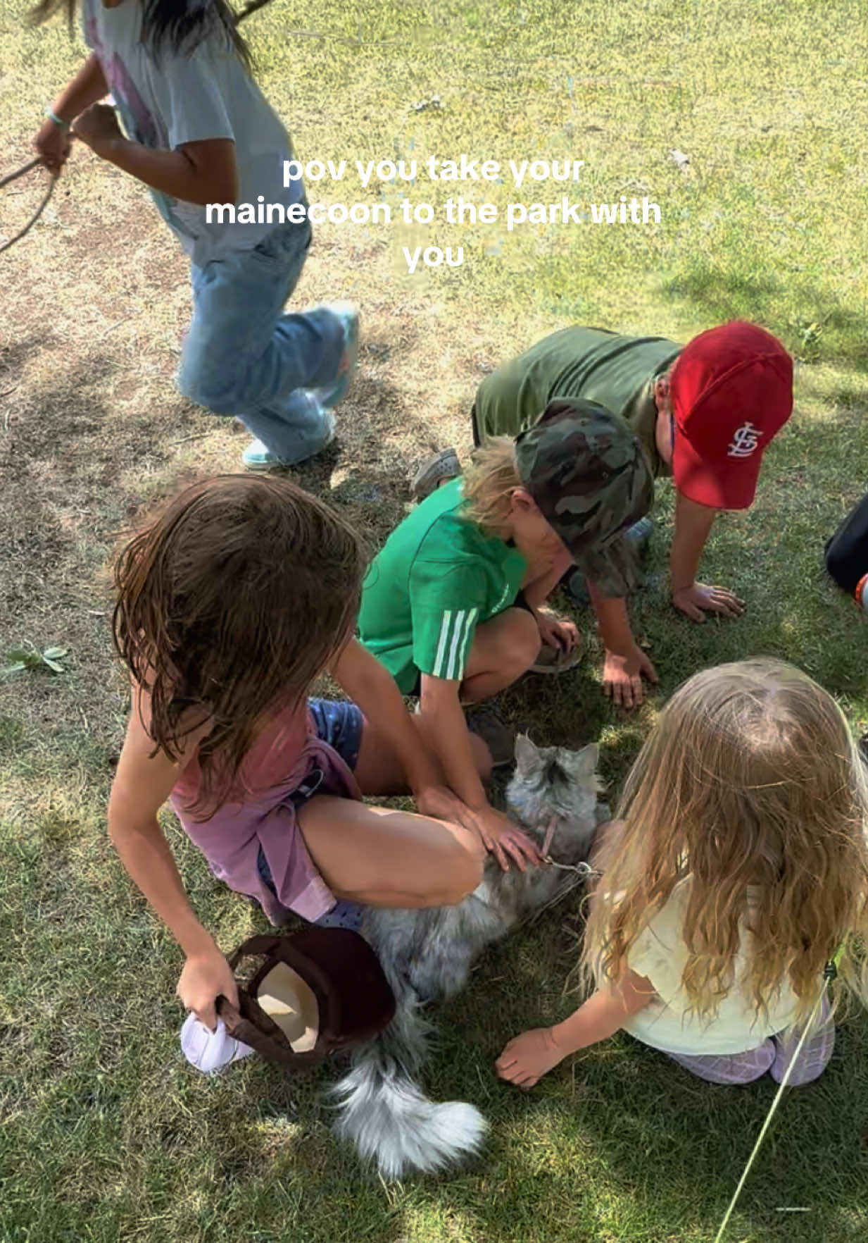 the kids LOVED herrr🥹🥹 #mainecoon #catsoftiktok #cattok #mainecoonsoftiktok 