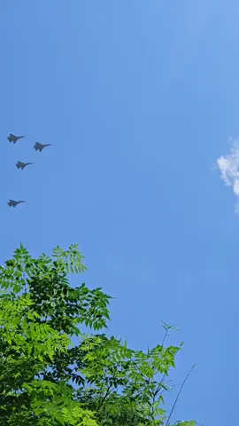 âm thanh gốc  Hổ Gầm SU30 MK2 #quốckhanhvietnam #maybay 