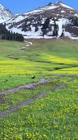 #Beautiful 