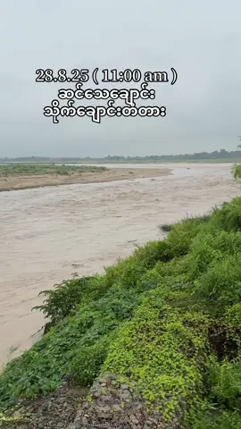28.8.25 ( 11:00 am ) ဆင်သေချောင်း / သိုက်ချောင်းတံတား ရေအခြေနေ #fyp #foryou 