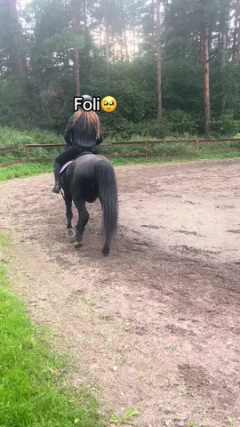 Åhh igår så red jag foli och det gick verkligen super bra!🙏🏼❤️Älskar verkligen honom så mycket🫶🏼Jag och han har utvecklats så mycket sen vi köpte honom på så kort tid 🙏🏼❤️Vi köpte ju dig för 2månader sedan hjärtat❤️För alltid vi