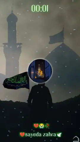 #یاابوالفضل_العباس_علیه_السلام #لبیک_____یا____زینبؑ #لبیک____یا____مھدی__ع #unfrezzmyaccount #viral 
