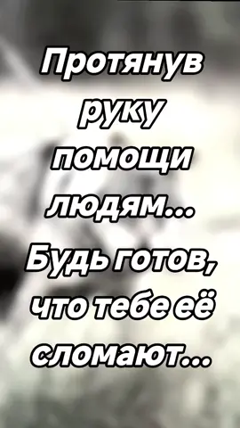 #волки🐺 #🐺🐺🐺🐺🐺🐺🐺🐺🐺🐺🐺🐺🐺🐺🐺 #цитаты #мудрость #рекомендации 