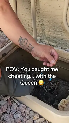 Held the Queen safe in my mouth for a minute and…..  @Bees & Barbells  @BRUNT Workwear  @Tuff Ring 