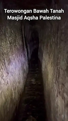 Assalaamu'alaikum Sobat RiseTAFDI. Dalam video pendek ini ditayangkan Gua (terowongan) seluas 5 hektar (20.000 meter persegi) yang praktis berada di bawah Masjid al-Aqsho dan Kawasan Kota Tua al-Quds (Yerusalem). Pintu masuk Gua sekitar 100 meter di timur gerbang Damaskus.  Gua yang ditemukan secara tidak sengaja oleh seorang misionaris Amerika James Barclay pada tahun 1854 ini memiliki beberapa nama diantaranya: Gua Zedekiah, Gua Sulaiman, Gua Kerajaan atau Tambang Kerajaan, dan Gua Korah (Qorun).  Silahkan lihat penjelasan dan video lengkapnya disini: https://youtu.be/ay12z0AixYM Wallohu a'lam bishshowaab Allohumma Sholli 'ala Sayyidina Muhammadin wa 'ala Aalihi wa Shohbihi Ajma'iin. Aamiin