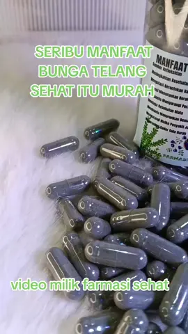 manfaat bunga talang #promomakangajian #racuntiktok #fyp #brenda 