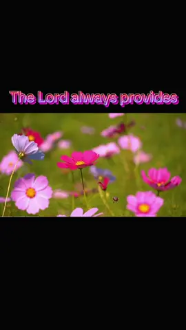 We are all surviving right now! Sometimes I feel like I'm barely hanging on, the walk of faith is hard but we know that the Lord is with us, always! I stand firm knowing even though I'm drowning at times, the Lord holds me fast. #christiantiktok #jesuslovesyou #Jesus #HolySpirit @Love in Faith 