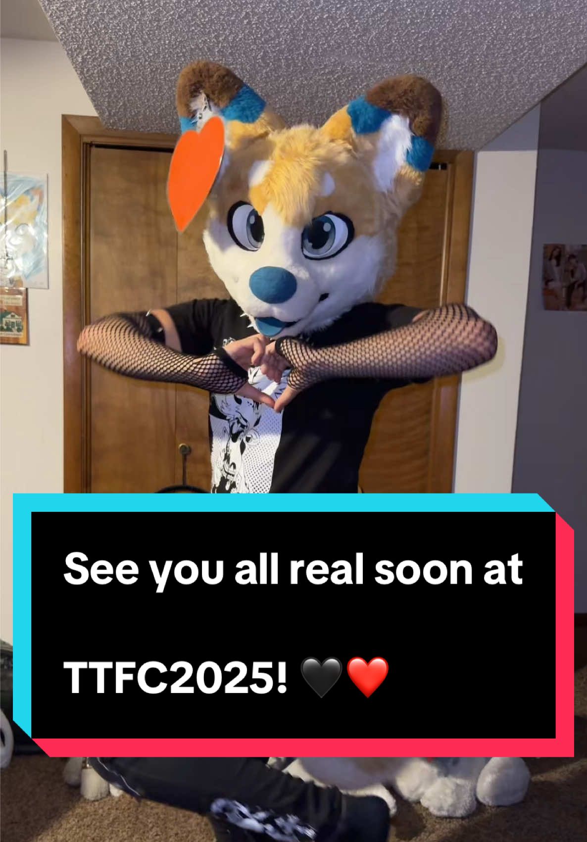 I cannot wait!!!! Am so hyped up and excited!!! Cannot wait to meet new friend and reunite with old friends! See you all real soon! 🥰🖤❤️ #furries #furry #fursuit #fyp #Tailsandtornadoes2025 