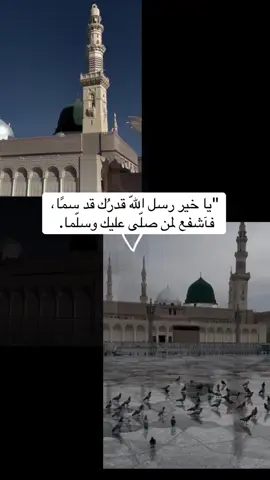 أيُّها الناس، أقرنوا مني السلام كلَّ مَن تبعني من اُمَّتي إلى يوم القيامة. آخر كلمات سَيِّدنا مُحَمَّد ﷺ #صلوا_على_رسول_الله #المدينه_المنوره_الان #اللهم_اغفرلي_ولوالداي #مدينة_رسول_الله #طيبة_المُطيبة 