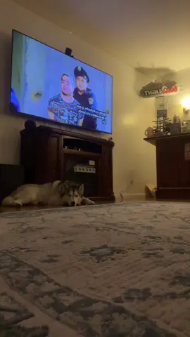 He usually doesn’t like it he is my everything ❤️🙏🏻❤️#huskysoftiktok 