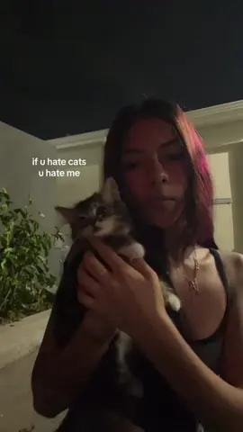 i feed about 20 strays everyday plus my 4 cats #catlover #relatable #cats #fyp 