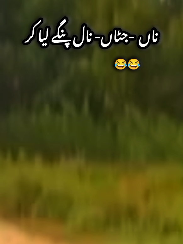 😂 #foryou #jutt #pindawale #trendingvideo #viralvideos 