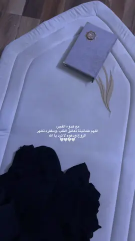 #اكسبلورر#🤍🕊️ 