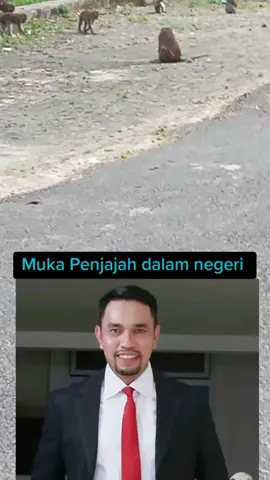 #penjajah