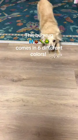 This is the cutest washable rug!! 🦋 comes in 6 different colors and pet hair doesn’t stick to it. Easy to vacuum and so soft. #foryou #homedecor #rug #tiktokshopfinds 