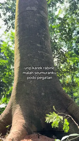 piyee to ki