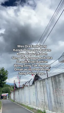 #salatigatiktok #salatiga24jam #jowopride #jowostory #bahanswmu 