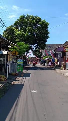 sekitaran cungking kelurahan mojopanggung #jalananbanyuwangi #pedesaanbanyuwangi #banyuwangi #bwx #tiktok #foryoupage 