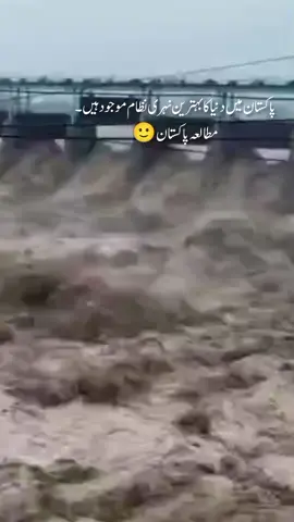 pak study 🙂 #creatorsearchinsight #Flood #fypppppppppppppp #viral #100k 